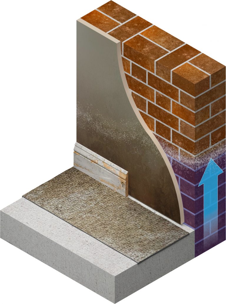 Damp For The Discerning With New Safeguard CPDs - Plasterers News